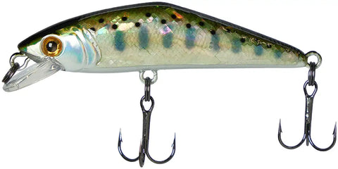 SMITH D-Contact Abalone 50S | BS-Fishing