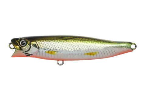ISSEI G.C. Waka-Pen 55 | BS-Fishing