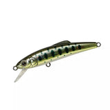 TACKLE HOUSE Buffet SD55 | BS-Fishing