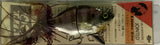 TH TACKLE Little Zoe Jointed - 81mm