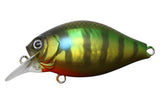 ISSEI G.C. Shallow Crank 40SR Cheera - 40mm