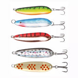DAIWA Cuillère Ondulante Mission Raider Lure Kit | BS FISHING