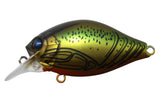 ISSEI G.C. Shallow Crank 40SR Cheera - 40mm