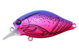 ISSEI G.C. Shallow Crank 40SR Cheera - 40mm