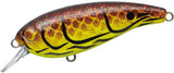 EVERGREEN Belcanto | BS Fishing