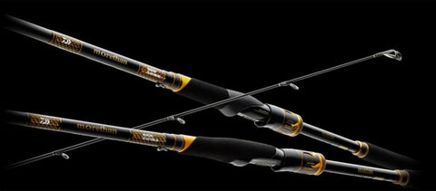 Canne spinning DAIWA Morethan EX AGS | BS-FISHING