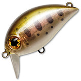 ZIP BAITS Hickory SSR - 34mm