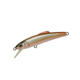 TACKLE HOUSE Buffet 50FF | BS-Fishing