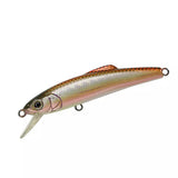 TACKLE HOUSE TM Buffett SD65 - 65mm