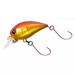 DAIWA Hazecra Jr. F-DR - 25mm