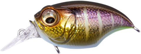 MEGABASS SR-X Griffon | BS Fishing