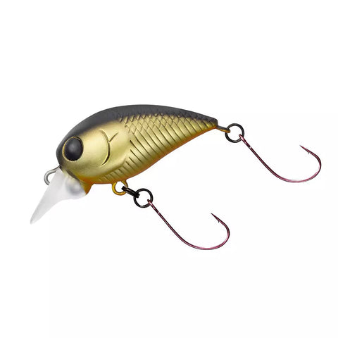 DAIWA Hazecra Jr. F-DR | BS-FISHING.COM