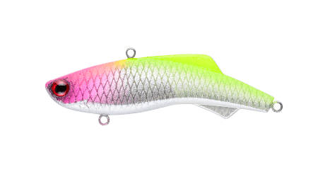 MADNESS Shiriten Vibe 53 | BS-Fishing  