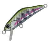 IVYLINE T-Gravits 36S | BS-Fishing  