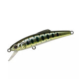 TACKLE HOUSE TM Buffett SD65 - 65mm