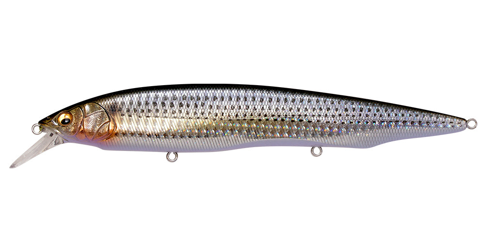☆kanatan☆  KANATA +1 [Brand New] – JAPAN FISHING TACKLE