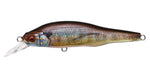 MEGABASS X 80 Trick Darter - 80 mm