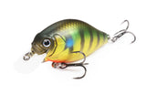 ISSEI G.C. Shallow Crank 40SR Cheera | BS-FISHING