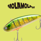 OBASSLIVE Molamola BR | BS Fishing