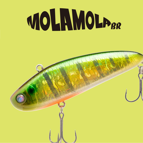 OBASSLIVE Molamola BR | BS Fishing