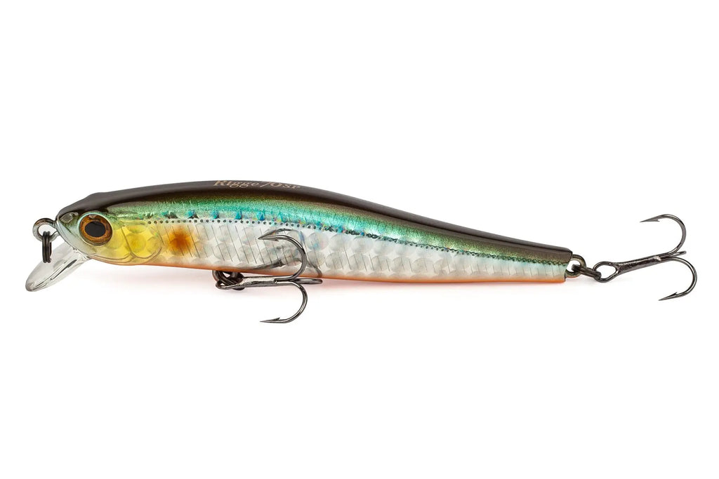 ZipBaits Rigge 70SP # Blue Chart Tiger, Angelladen für Profis - KL ZipBaits Rigge 70SP # Blue Chart Tiger, Angelladen für Profis - KL