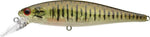 LUCKY CRAFT Pointer 100 SP - 100 mm - LUCKY CRAFT Pointer 100 SP - 100 mm | BS Fishing