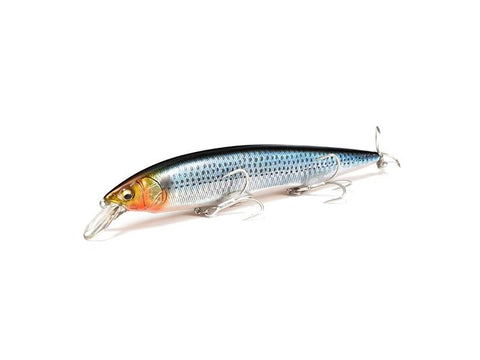 Momolures - Flat Side Big Minnow 160 / Megabass Kanata Ayu SW Style Momolures - Flat Side Big Minnow 160 / Megabass Kanata Ayu SW Style